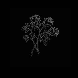 Meet your Posher, Shira